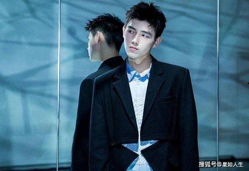 娱乐圈吃瓜元素表陈飞宇,娱乐圈吃瓜达人，揭秘明星幕后故事  第1张