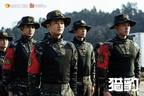 猎豹突击队电视剧全集在线观看  第1张